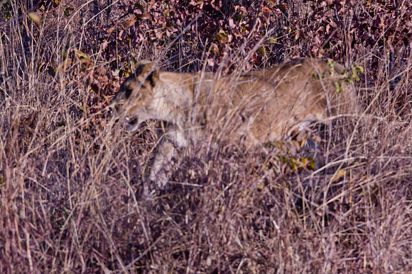 13-06-24_ McD_Africa_073