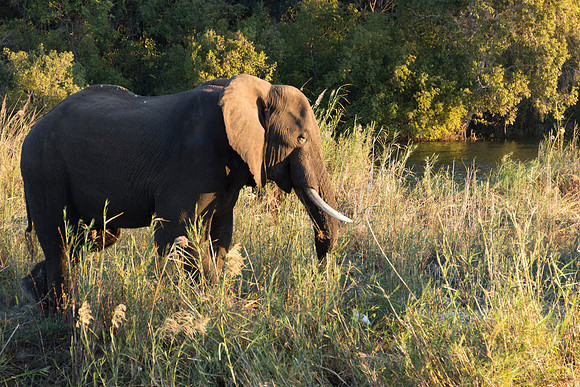13-06-24_ McD_Africa_114
