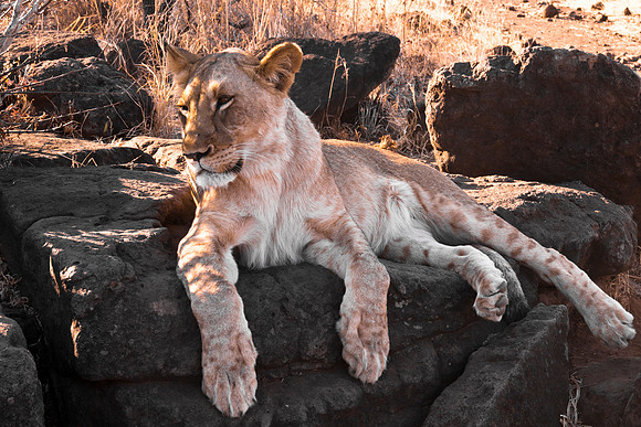 13-06-24_ McD_Africa_045