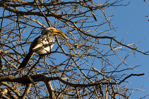 13-06-24_ McD_Africa_554