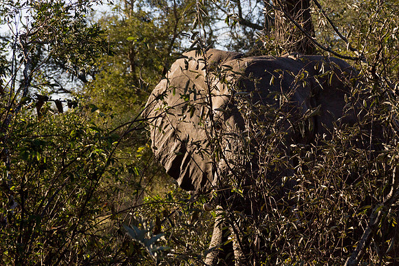 13-06-24_ McD_Africa_552