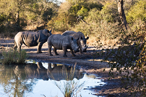 13-06-24_ McD_Africa_582