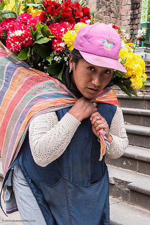 S-96ppi-952L__2015-05-07_15-05_Peru_5854