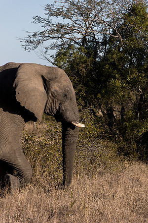 13-06-24_ McD_Africa_546