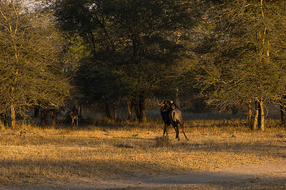 13-06-24_ McD_Africa_599