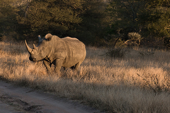 13-06-24_ McD_Africa_577