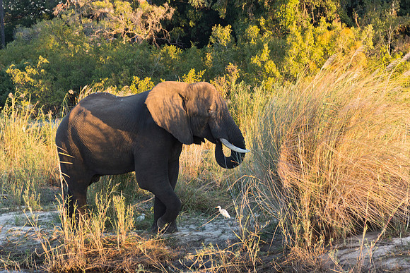 13-06-24_ McD_Africa_126