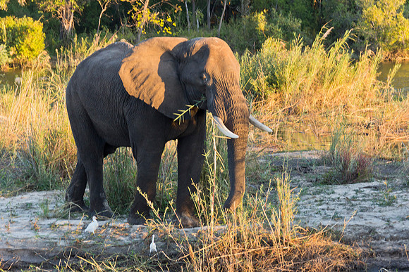 13-06-24_ McD_Africa_122