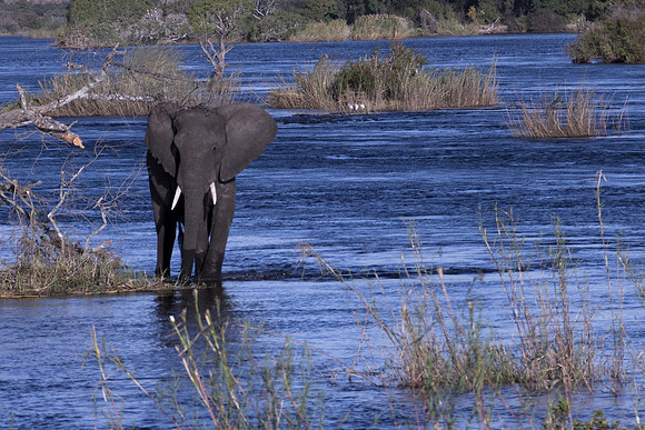13-06-24_ McD_Africa_095