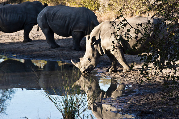 13-06-24_ McD_Africa_589-Edit