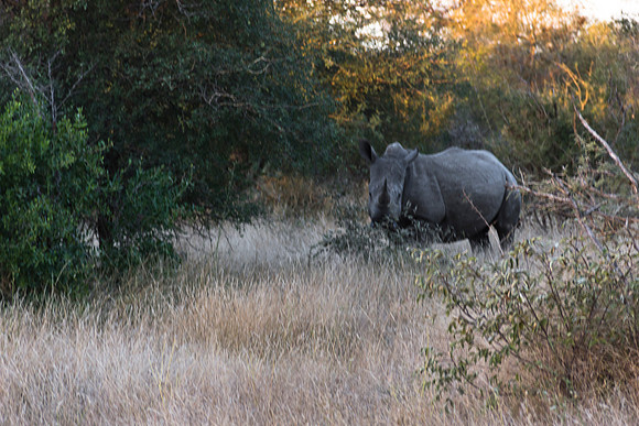 13-06-24_ McD_Africa_556