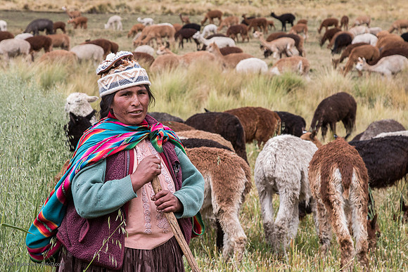 S-96ppi-952L__2015-05-16_15-05_Peru_4581