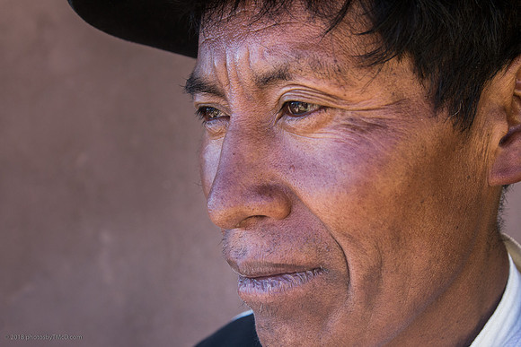 S-96ppi-952L__2015-05-17_15-05_Peru_2231