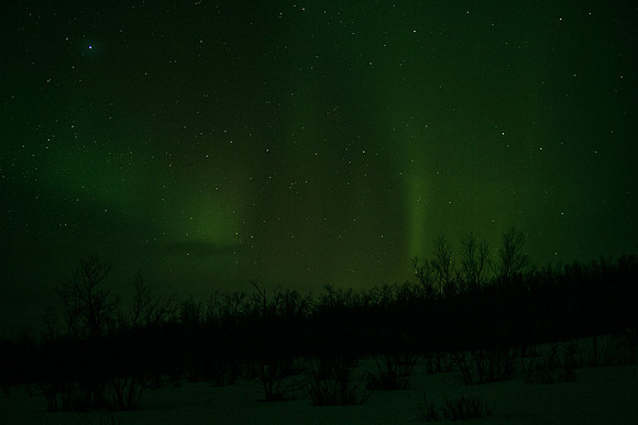 14-03_Abisko_275