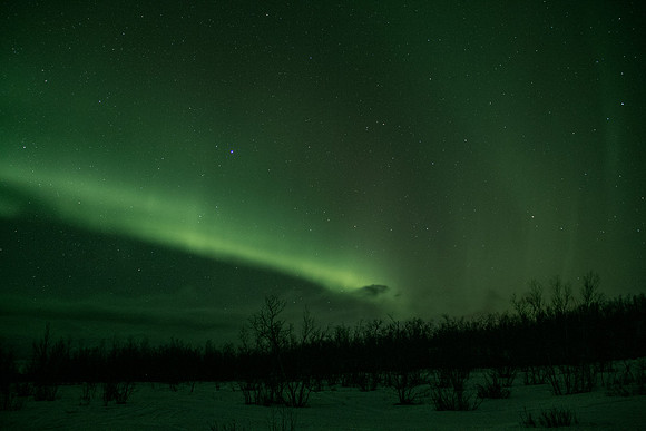 14-03_Abisko_255