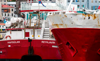 iceland_359